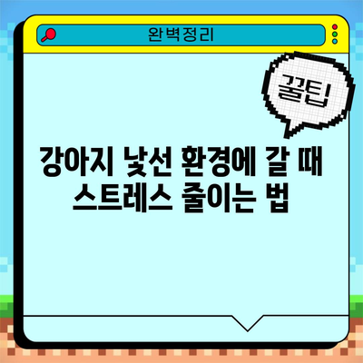 강아지 낯선 환경에 갈 때 스트레스 줄이는 법