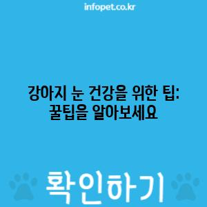 강아지 눈 건강을 위한 팁: 꿀팁을 알아보세요