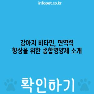 강아지 비타민, 면역력 향상을 위한 종합영양제 소개