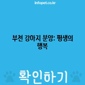 부천 강아지 분양: 평생의 행복