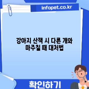 강아지 산책 시 다른 개와 마주칠 때 대처법