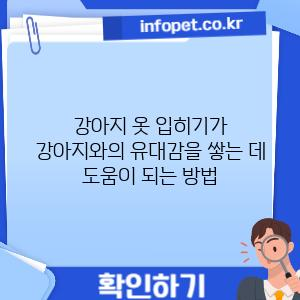 강아지 옷 입히기가 강아지와의 유대감을 쌓는 데 도움이 되는 방법