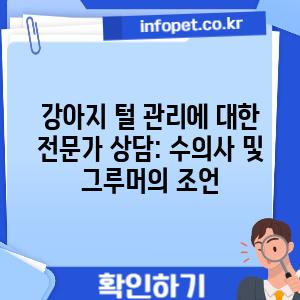 강아지 털 관리에 대한 전문가 상담: 수의사 및 그루머의 조언