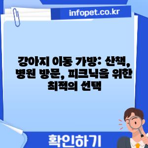 강아지 이동 가방: 산책, 병원 방문, 피크닉을 위한 최적의 선택
