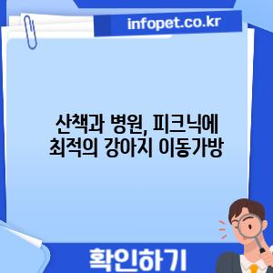 산책과 병원, 피크닉에 최적의 강아지 이동가방