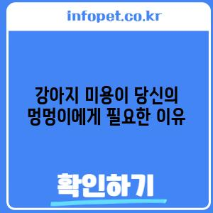 강아지 미용이 당신의 멍멍이에게 필요한 이유