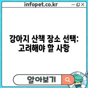 강아지 산책 장소 선택: 고려해야 할 사항
