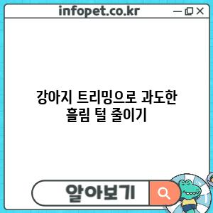 강아지 트리밍으로 과도한 흘림 털 줄이기