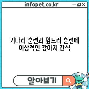 기다려 훈련과 엎드려 훈련에 이상적인 강아지 간식